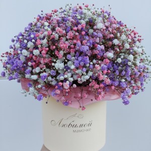 композция 1